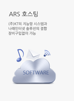 ARS ȣ���� - (��)KT�� ���ɸ� �ý��۰� �������ͳ� �ַ����� ����, ����Ծ��� ����